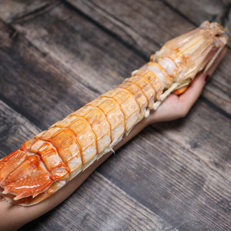 鲟食进口巨型多种微量元素生鲜虾类