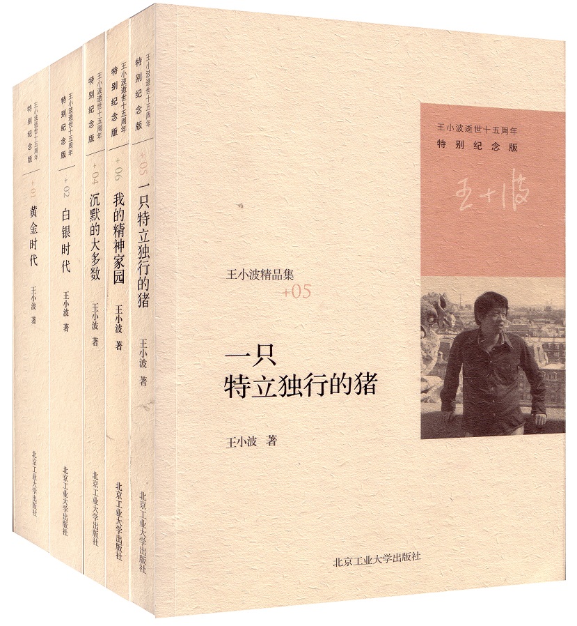 王小波逝世十五周年特别纪念版套装（共5册）