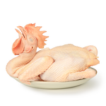 WENS 溫氏 天露 農(nóng)養(yǎng)雞 800g