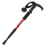 CAMPSOR 戶外登山杖 D-01