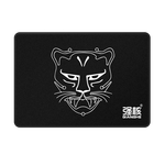 qianghe 強(qiáng)核 武器大師 固態(tài)硬盤 SATA3 512GB