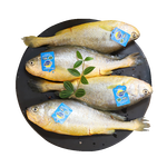 三都港 冷凍三去大黃魚凈重1300g/共3條 寧德黃花魚 生鮮 端午節(jié)