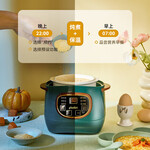 浦利頓(PLODON)嬰兒輔食鍋寶寶電燉鍋盅煮粥鍋BB煲輔食機(jī)煲湯養(yǎng)生陶瓷3 隔水電燉盅2 0葉刀頭