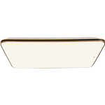 Panasonic 松下 明畔系列 HHXSX334 LED簡(jiǎn)約吸頂燈 100W 黑金色