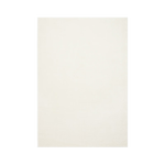 BUDISI 布迪思 地毯120*160CM