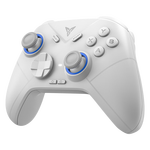 飛智冰原狼2 多模版無線游戲手柄 類xbox霍爾線性扳機switch電腦PC手機steam體感NS絕區(qū)零黑神話悟空