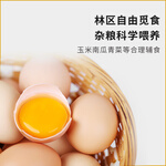九華糧品 九華糧品 散養(yǎng)土雞蛋40枚 凈重1.5kg