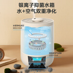 小熊（Bear）加濕器 臥室嬰兒用辦公桌面大容量 家用迷你低噪大霧量空氣加濕凈化 銀離子上加水JSQ-C45U1 4.5L