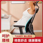 人體工程學(xué)腰靠辦公室靠墊護(hù)腰支撐氣囊 升級款【黑色】帶氣囊