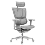 Ergonor 保友辦公家具 優(yōu) 人體工學(xué)電腦椅 灰色 銀白色 旗艦版