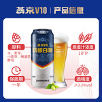 YANJING BEER 燕京啤酒 V10精釀白啤酒 500mL*12聽