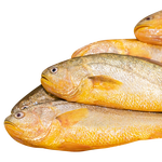 20點(diǎn)開(kāi)始：鴻順 黃花魚(yú)4條4斤