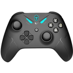雷神（ThundeRobot） 電競(jìng)游戲手柄藍(lán)牙無(wú)線雙模PC電腦Switch Steam 類XBOX黑神話悟空 G20有線|電腦/電視