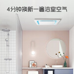 奧普（AUPU） 排氣扇普通吊頂換氣扇廚房衛(wèi)生間低噪吸頂排風(fēng)扇強(qiáng)力抽風(fēng)機(jī)15-4D 經(jīng)典款 BP15-4D