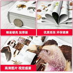 PLUS會(huì)員：《DK博物大百科》（精裝）