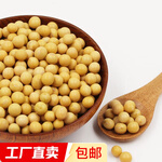 农家黄豆 五谷杂粮 大豆打豆浆发豆芽产地直供 1.5kg【包装随机】