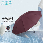 天堂 加大雨傘三折 晴雨兩用商務(wù)傘經(jīng)典格紋10骨大雨傘男女 暗紫紅