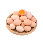 荊品名門農(nóng)家散養(yǎng)新鮮雞蛋初生蛋谷物蛋純農(nóng)村笨雞蛋自養(yǎng)草雞蛋 12枚（480克左右）