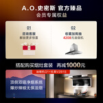 CHANITEX 佳尼特 JSQ26-TC1 強排式燃氣熱水器 13L