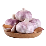 山東金鄉(xiāng)蒜大蒜出口標(biāo)準(zhǔn)精選大蒜頭蔬菜調(diào)料單果5cm 出口標(biāo)準(zhǔn)網(wǎng)兜裝箱 2274g 5-5.5cm特大