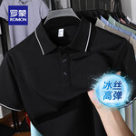 羅蒙（ROMON）冰絲涼感短袖T恤男夏季中青年商務(wù)休閑百搭polo領(lǐng)上衣 2515冰藍(lán) L (175) 【建議110-135斤】