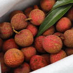 Dole 國(guó)產(chǎn)荔枝4.4斤禮盒裝 黑葉老樹荔枝