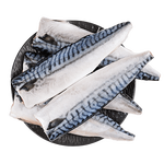 美加佳挪威青花魚片凈重2斤（8-10片）鯖魚片 獨(dú)立包裝 去頭去尾去臟
