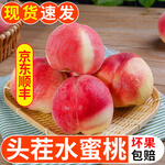同甘園水蜜桃 現(xiàn)摘新鮮當(dāng)季應(yīng)季時(shí)令水果整箱桃子脆甜軟硬兩吃 整箱5斤單果150-180g凈4.5斤