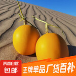 【沙漠中金蛋蛋】甘肅民勤沙漠蜜瓜 帶箱8-9斤【凈重7.7-8.5斤】