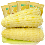 有機白糯玉米 黑玉米 黑糯白玉米粘黏真空裝包裝 白糯玉米1根 單棒＞180g