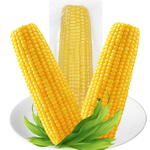 珍谷诱惑东北糯玉米 鲜食玉米 真空玉米棒  黑龙江鲜食苞米 原产地直发 黄糯玉米12支【单支180g以上】