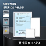 雷士（NVC）led集成吊頂廚衛(wèi)燈吸頂燈鋁扣板衛(wèi)生間平板【國家補貼】面板燈 【常規(guī)款】霧銀18瓦正白光