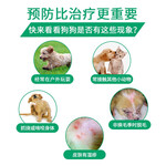 FRONTLINE 福來恩 狗用體外驅(qū)蟲滴劑 中型犬10-20kg 整盒3支