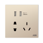 PLUS會員：ABB 盈致系列 金色 五孔帶雙USB插座