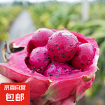 海南紅心火龍果金都一號(hào)裝新鮮采摘現(xiàn)摘現(xiàn)發(fā) 火龍果帶箱1斤（單果200g-300g）