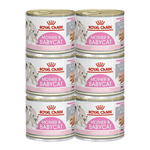 ROYAL CANIN 皇家 貓離乳期幼貓罐頭貓零食 慕斯奶糕195g*6罐