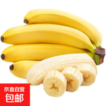 精選云南甜香蕉  青蕉發(fā)貨 到貨需催熟  甜香軟糯 八朵 云南甜香蕉凈重9斤（需催熟）