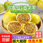 廣西欽蜜9號黃金百香果萬澄當季新鮮大果黃皮果奶茶店水果 【中果5斤】約35-40個