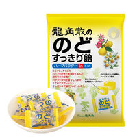 日本原装进口 龙角散柚子味草本粉末夹心喉糖80g 水果味糖果薄荷糖