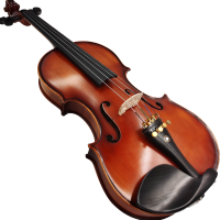 塞尔夫（SCHAAF）4/4小提琴VM-60欧料专业演奏全手工乌木