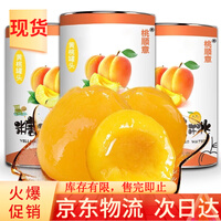 桃顺意 黄桃罐头整箱新鲜砀山水果罐头水果烘焙糖水黄桃休闲零食 黄桃罐头425g*6罐
