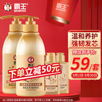 霸王生姜洗发水护发素洗护套装(生姜强根赋活洗发露450ml+护发素450g送旅行装80ml+80g)