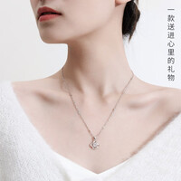 宝丽妮(Baolini)999足银幸运四叶草项链女士轻奢白金色小众锁骨链吊坠情人节生日礼物送女友老婆刻字