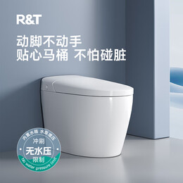 瑞尔特（R&amp;T）智能马桶一体机无水压脚感翻盖座温智控智能坐便器 S5 305/300mm