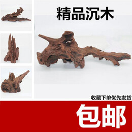 PLUS會員：逸樂寵 紫柚木魚缸 5-15cm隨機發(fā)