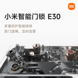 Xiaomi 小米 XMZNMST10LK 智能門鎖 E30