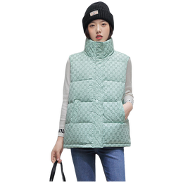 PLUS會(huì)員：YAYA 鴨鴨羽絨服 女士羽絨馬甲 YE2C004261A