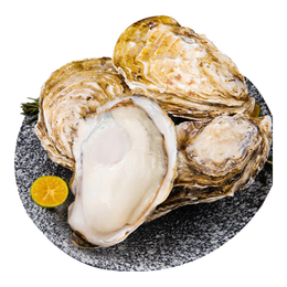 乳山牡蛎【源头直发】鲜活乳山生蚝2XL 净重3斤装 9-12只 海鲜烧烤食材