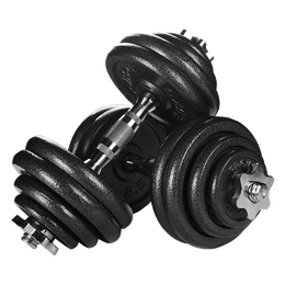 PROIRON 啞鈴 黑色 30kg 送連接器9元一公斤，實屬低價