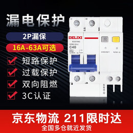 DELIXI 德力西 HDBE63LE2C40 家用小型斷路器 40A
